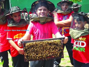 Kids enjoying harvesting of honey