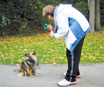 young teenage boy keeps dog's attention