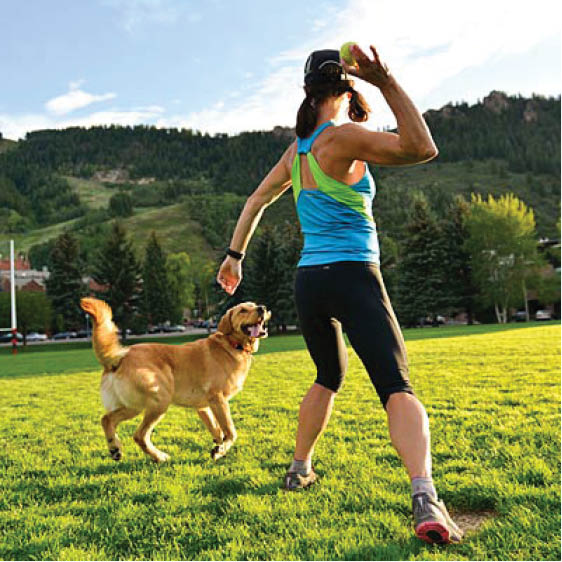 Over dogs. Служение собаки. Guy working out with Dog. Fetch Command for a Dog.